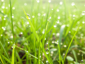 7/365 - image gratuit #295339